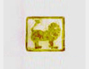 Löwe | Leo